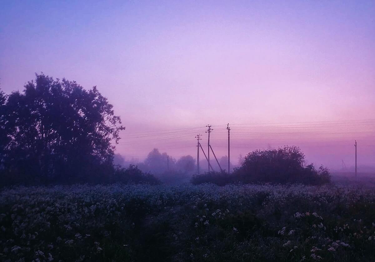GA黄金甲-阿瑙托维奇否认同佩雷拉“交恶”：没有兴趣离开上港